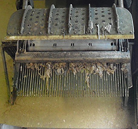 The screenings from the Trash removal screen.